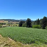 Pinewood Residence Premium Mountain View